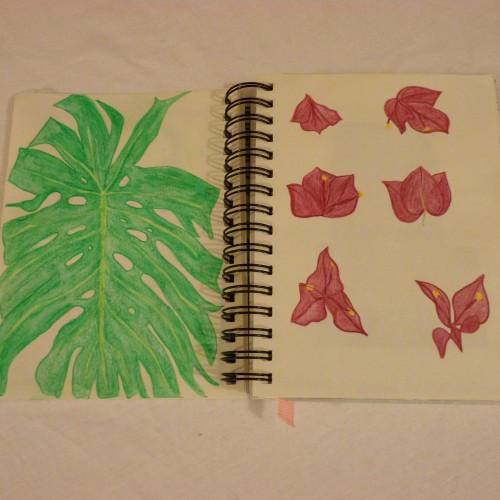 Watercolour pencil drawings of leaf and flowers