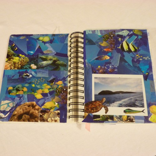 Fish collage inspired by snorkelling trip to Molokini